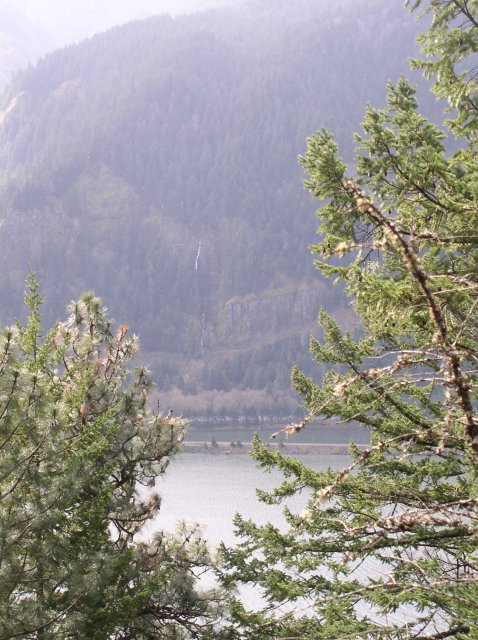 3.24.06 Dog Mountain 008 